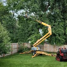 Best Soil Testing and Treatment  in White Hall, IL
